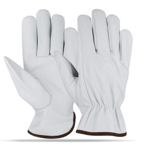Driver-Gloves-3519